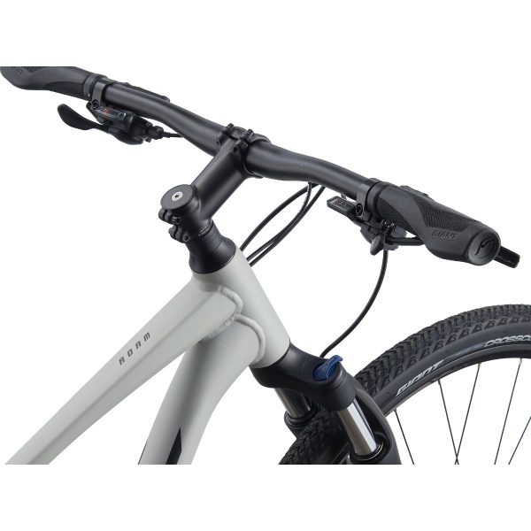 Giant Roam 3 Disc (2021)