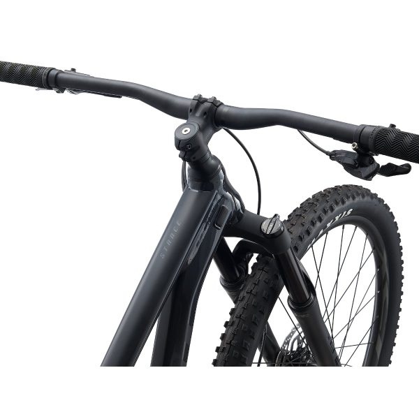 Giant Stance 29 2 (2021) Gunmetal Black