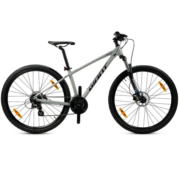 Giant Rincon 1 (2022) Grey