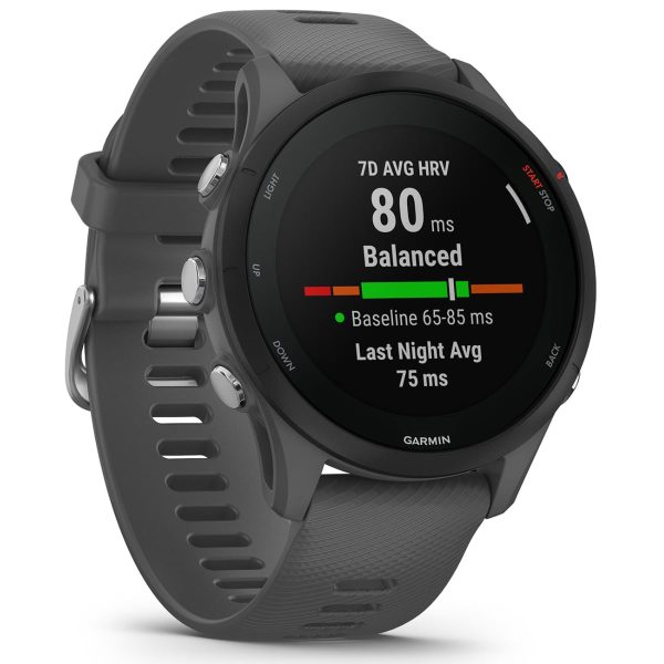 Garmin Forerunner 255 (Slate Gray)