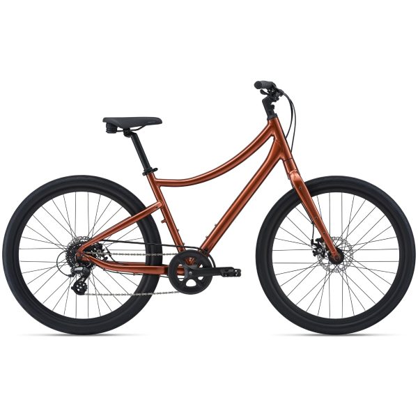 Momentum Vida (2022) Copper